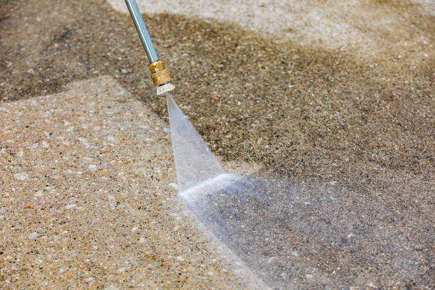 Best Animal Enclosure Cleaning  in Cedar Bluff, VA