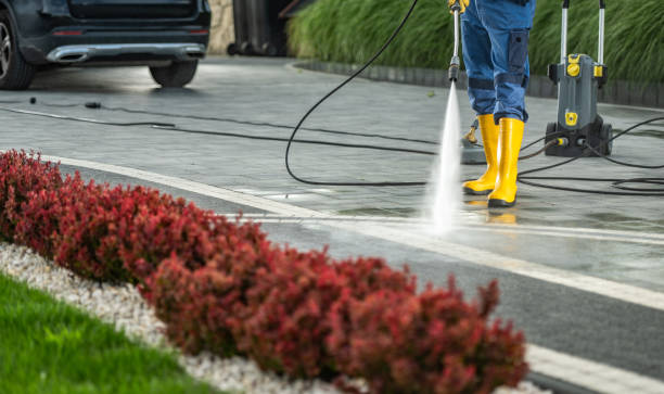 Animal Enclosure Cleaning in Cedar Bluff, VA